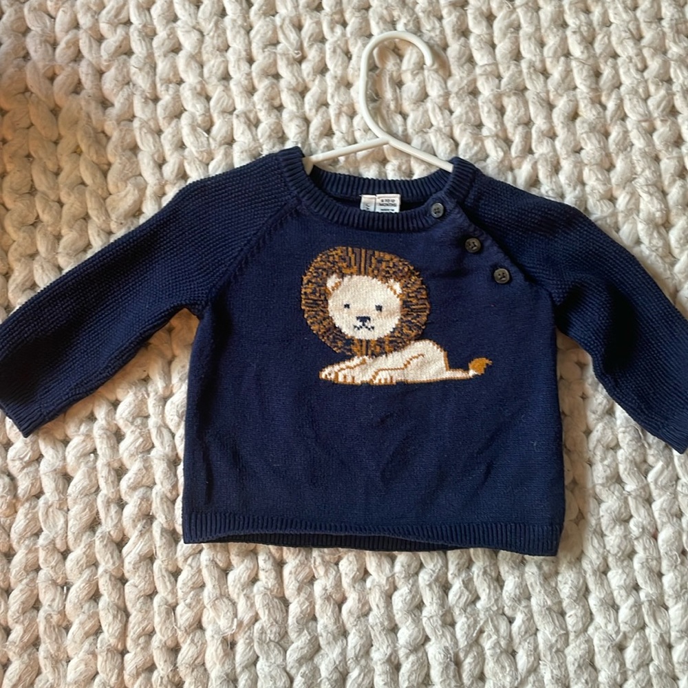 Blue Lion Sweater
